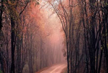 乌迪内斯足球俱乐部,意甲赛场的造星工厂与独特生存之道?