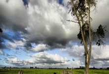 有哪些靠谱的网球免费观看直播平台?